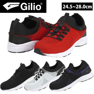 JWCN SC GILIOZteB[V[Y 4205