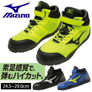 ~Ym SC I[}CeB SD II 13H F1GA2307