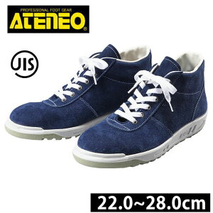  SC [Jbg JIS v v xA Sc { Y fB[X   Xj[J[ }WbNe[v / SC ؎Y SK210