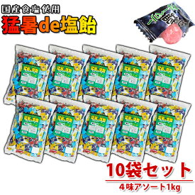 [スーパーSALE] オークラ製菓 夏対策商品 猛暑de塩飴 4種アソートミックス1kg×10袋セット 塩飴セット