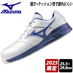 ~Ym SC I[}CeB LSII 11L 2025N胂f F1GA2506