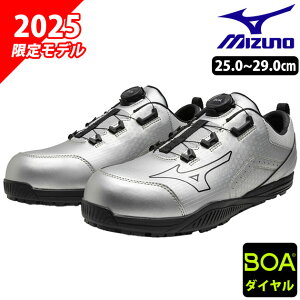 ~Ym SC F1GA2514 I[}CeB TDII 51L BOA 2025N胂f