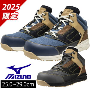 ~Ym F1GA2516 SC I[}CeB LSII 11M 2025N胂f