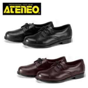 SC fB[XΉTCY ؎Y 43L SC