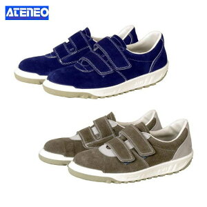 SC ؎Y SK112N SK112G fB[XΉTCY  [NV[Y Z[teB[V[Y Z[teBV[Y ƌC Y