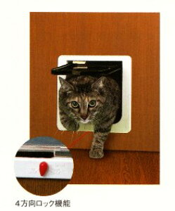 ybghA uybg`v@y4bN\^Cvz@lRp@zCgF