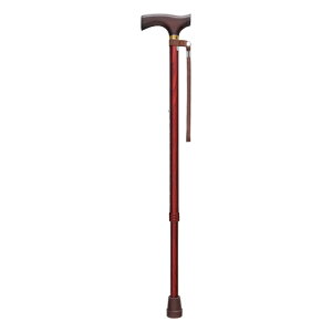 Fuji Home(tWz[jWalking Stick(XebLE)WB3720x[VbN LkSEMpؖ