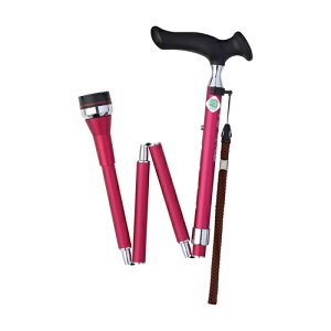 yz[J[iFuji Home(tWz[jWalking Stick(XebLE)WB3835邪 [^[ ܏􃍁[Y