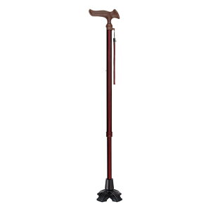 yz[J[iFuji Home(tWz[jWalking Stick(XebLE)WB3843邪 I 4_DX LkSEMpؖڃ~fBA󒍐YXebL  y  p@ s 