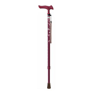 Fuji Home(tWz[)Walking Stick(XebLE)WB5130邪t@2 LkԃC