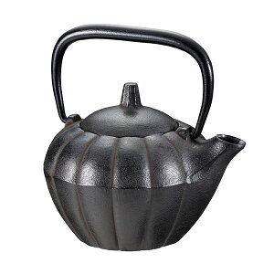 *【送料無料】池永鉄工 tecco 急須 ほおずき