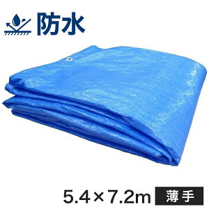 u[V[gyi #1000iTCY5.4m×7.2mj u[V[g@hW[V[g