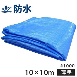 u[V[gyi #1000iTCY10m×10mj u[V[g@hW[V[g