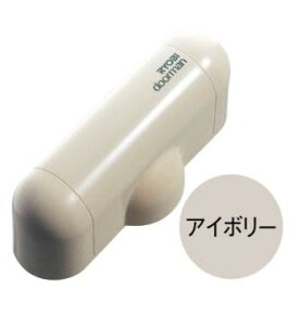 [r hA} S-101PV AC{[F@phAN[U[(J͒@\t)