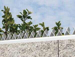 XcA~@A~EѕԂ AGx(G[W[GbNX){̃Zbgix[XtjiMIZj@h  tFX N h~