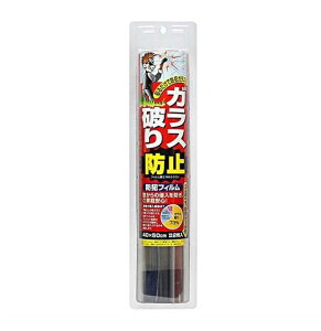 �h�ƃt�B���� No. 2080 �m�����e�b�N �����K���X��p 40cmx50cm�@2����