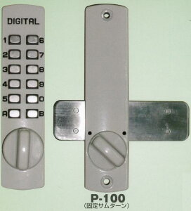 ���K �f�W�^�����b�N �Ղ��v�`�V���[�Y P-100