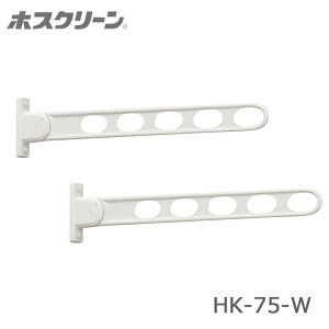  Z HK-75 ǗpzXN[ 2{ ؉nptp[ct  Op