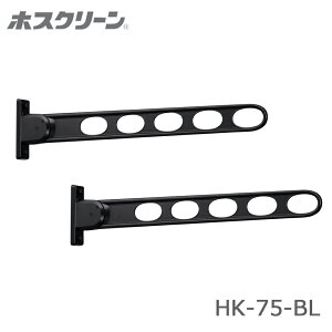  Z HK-75 ǗpzXN[ 2{ ؉nptp[ct  Op