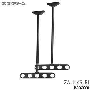 Z zXN[ ZA-1145 ST/DB/PW/BL ؉nptp[ct Vp  Op