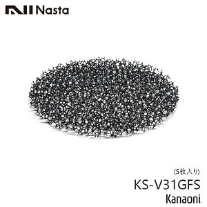NASTA iX^ KS-V31GFS ptB^[ 5