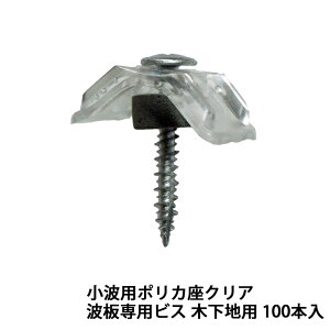 gprX ؉np g Xe / |JNA / |JuY 100{ 4.8x35 R[XXbh^Cv