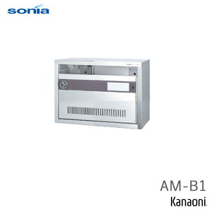 SONIA R[\jA AM-B1 Wp|Xg 1˗p OOo _C XeX s