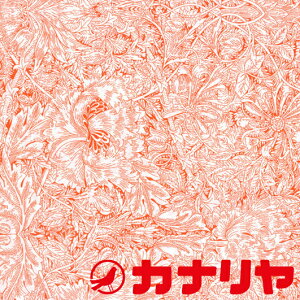 yLIBERTYz oeB oeBvg ^i[  Indigo Morris CfBSEX THE LIBERTY KALEIDOSCOPE 2024ss t LIBERTY C^A ny[֔z3.0m܂Łz 30cmi3jȏ10cmPʂ