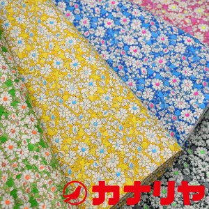 yLIBERTYz oeB 2023SS alice neon AXElI lIJ[ vg ^i[  ny[֔z4.0m܂Łz 30cmi3jȏ10cmPʂ炲Bm pb`[N L