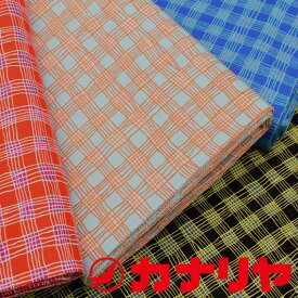 keffe fassett ケイフファセット gingham 生地【メール便配送2.0mまで】 30cm（数量3）以上10cm単位からご注文ください。 USAコットン カラフル パッチワーク