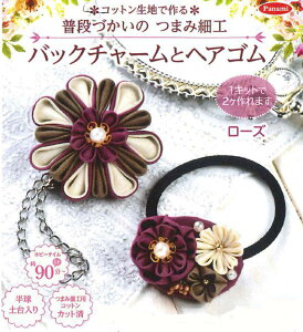 iÂ̂܂ݍ׍HLbg obO`[ƃwAS