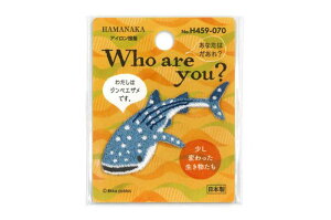 �A�C�����ڒ����b�y�� �W���x�G�U�� Who are you�H