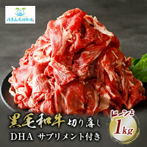 јa؂藎Ƃ1kg & DHA{EPAi30jSET@ySSza Y a i Y  Ε ̓ v[g ē O Hi