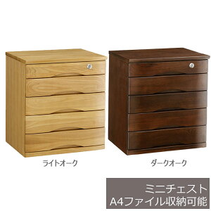 yiz~j`FXg B4TCY 44.7cm s35cm 49.2cm  RpNg`FXg t o 5i ރP[X ގ[P[X ؐ  a  aeCXg AeB[N 