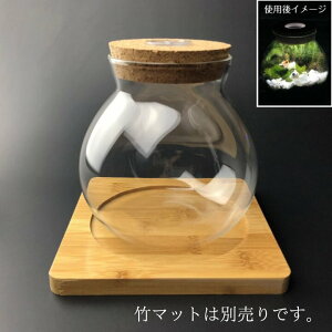 ガラス容器 LEDライト内蔵コルク蓋付き ガラスボトル ガラスポット コケリウム容器 アクアリウム テラリウム サークルボール インテリア 植木鉢