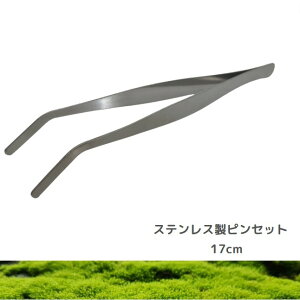 XeXsZbg 17cm  Ȃ RPE n[oE   ANAE | Mы _J g~O nhCh eE ANApi eiX RP ێ