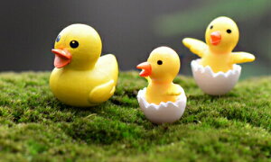 Ђ eq ۖ~ eEtBMA  ~j`A ~jtBMA ANAE RPE WI}