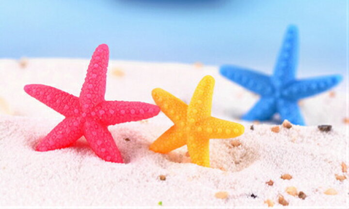 楽天市場 ヒトデ 2サイズ5色 5個 ひとで テラリウム フィギュア アクアリウム ハーバリウム コケリウム スノードーム テラリウム インテリアtakara