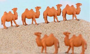 炭 N_ ~j tBMA eEtBMA ~j`A  eE [NVbv eE ~j ANAE Xm[h[ ۃeE ۖ~ 킢  