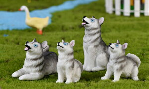 tBMA T  eE tBMA ~j`A RPE ۃeE  RP ۃeE ANAE ANAeE [NVbv p[c K[fjO ϗtA