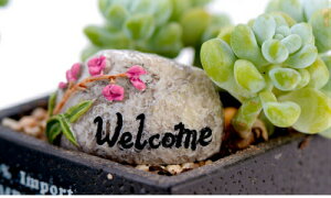 EFJ ΊŔ eE tBMA ANAE RP~ 돬   RPE Xm[h[