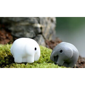 O[   eEtBMA  ~j`A ~jtBMA WI} Cxg RPE  nhCh