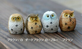 楽天市場 テラリウム 動物の通販