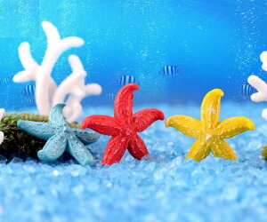 アクアリウム ヒトデ 海 水槽飾り コケリウム スノードーム ガーデニング おしゃれ ミニ テラリウム フィギュア 苔 コケ ワークショップパーツ 苔テラリウム 観葉植物 苔リウム アクアテラ