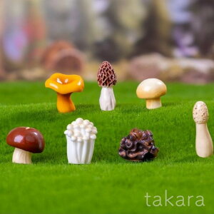 ̂ ~j`A 11 ۃeE eE tBMA i u ANAE ~jtBMA RPE WI}  킢  [NVbvp[c ۖ~ ۋ ϗt