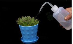 eEp炵keEtBMA ~j`A eELbg eE eEe KXe eEZbg CeAl