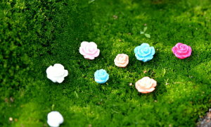 o[ 10 ͂  eEtBMA ~jtBMA RPE ~j`A  nhCh fRp[c