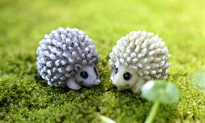 ~j`A nlY~ RPE eEtBMA ~j`A  eE  eE ~j ANAE Xm[h[ 킢  ۃeE ۖ~ 