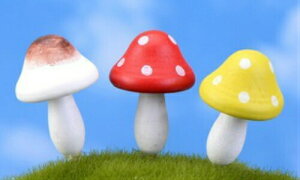 9F ̂ LmR 3.8cm eE tBMA ~j`A LmR ~jtBMA RPE Cxg