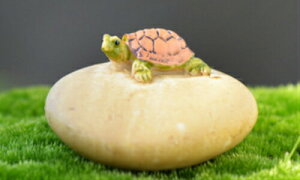 ΂̏1C  4*2.3cm  eEtBMA ~j`A ~jtBMA ANAE RPE Cxg v[g